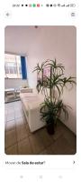 APT no MAIOR SÃO JOÃO DO MUNDO - B&B Campina Grande