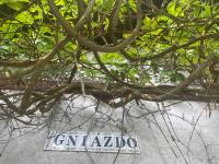 Dom w lesie nad jeziorem Kaszuby - Gniazdo - B&B Dąbrówka