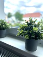 Stilvoll-Fewo - B&B