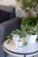 Ivory Suite seafront with views!- Fl 10 by Homely - B&B San Pawl il-Bahar