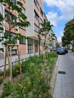 Danube - Ferienwohnung