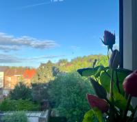 Cosy suite La citadelle private duplex - Chambres d’hôtes Namur