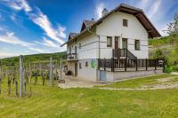 B&B Dragatuš - Vineyard Homestead Vrtin - Happy Rentals - Bed and Breakfast Dragatuš