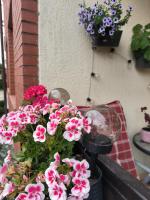 Apartament 25 Mikołajki - Ferienwohnung Mikolajki