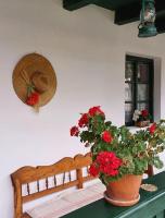 Căsuța cu Prispă - B&B Sâncraiu