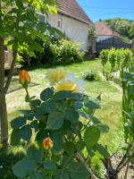 Kánya Veranda - B&B Szomolya