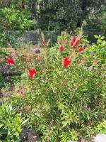 Villa Sisyphe TINY HOUSE" la Odette" - B&B Le Thoronet