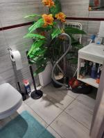 Studio mit Gartenblick