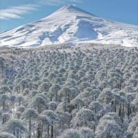 Pucon, la Capital del Sur de Chile - Chambres d’hôtes