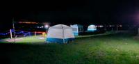 Brown bear camping gurez - B&B Kanzalwan