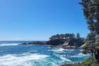 Ocean Front Condo! Spectacular Ocean Views! Walk to Everything! - B&B