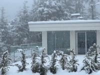 Chalet Tschattlhof Dolomites - B&B