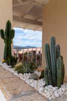 Dicciosu Guest House - B&B Budoni