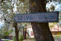 B&B Lavanda e Rosmarino - B&B Assisi