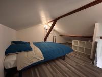Magnifique appartement avec jardin et terrasse - B&B Givors