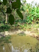 Belandur Bliss Homestay - Bed and Breakfast Sringeri