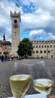 B&B and Apartments Armando Diaz - B&B Trento
