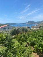 Green Olive 3 - B&B Budva
