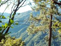 Blue Mountain Wilderness Retreat Jamaica House - B&B