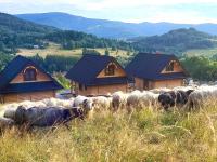 Chaty pod Pilskiem - sauna i jacuzzi w cenie - Krzyżówki - Korbielów - Ferienwohnung