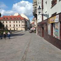 New Oldtown Apartment near St Martin Cathedral, AC, Balcony - Chambres d'hôtes Bratislava