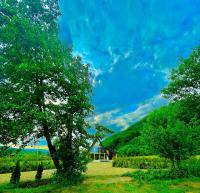 Cabana Ana Barsana - B&B Bârsana