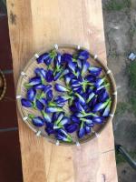 đất phú homestay phú yên - Chambres d’hôtes Đa Ngủ