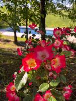 Agriturismo San Fabio - B&B Castelnuovo Berardenga