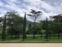 Casa El Pinar - B&B Jardin