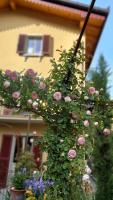 Villa Costanza Appartamento con giardino - Chambres d’hôtes Magreglio