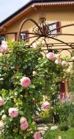 Villa Costanza Appartamento con giardino - B&B Magreglio