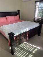 Three Palm Villa - B&B Montego Bay