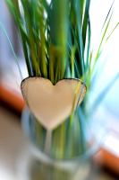 Ferienwohnungen by Weingut Hommes in Ernst Mosel - Ferienwohnung Ernst