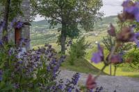 Il Casale-toscoemiliano - B&B Camugnano