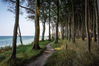 Eleganz im Zentrum, Ostsee, Lübeck & Hotspots nah! - Ferienwohnung