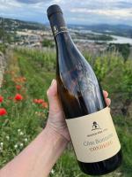 Condrieu, le Châtillon au cœur du vignoble belle vue sur vallée du Rhône - B&B