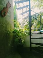 Tree House Unawatuna - B&B Galle