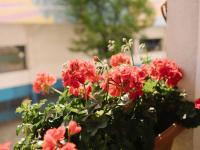 Casilla's House en Indautxu - B&B Bilbao