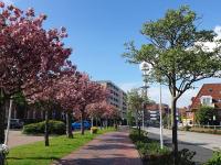 Ferienwohnung "Sylt Sunrise" - Ferienwohnung Westerland