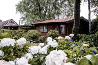 B&B Blesdijke - De Markestee - Bed and Breakfast Blesdijke