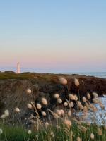 Appartement LES PIEDS DANS L'EAU - B&B Saint-Gilles-Croix-de-Vie