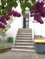 Ferienwohnungen große Luise - B&B