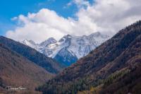 Pyrénées Palace - B&B