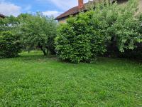 GreenFamilyAppartment near Ljubljana - Chambres d'hôtes Domzale