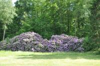 långstorp - Bed and Breakfast Höör