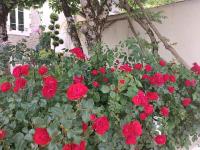 La Villa Bénédictins avec piscine - B&B Limoges