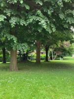 Appartement Entier - B&B