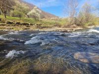 Guest House Beli Vit - Chambres d’hôtes Ribaritsa