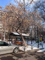 Cozy and stylish Apartment in Yerevan - Chambres d’hôtes Erevan