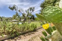 King Room with Pool View